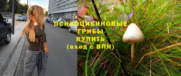 марки nbome Ельня