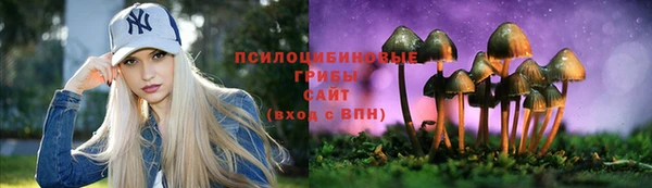 синтетический гашиш Пролетарск