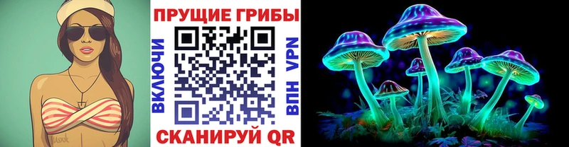 Галлюциногенные грибы Psilocybe  Снежинск 