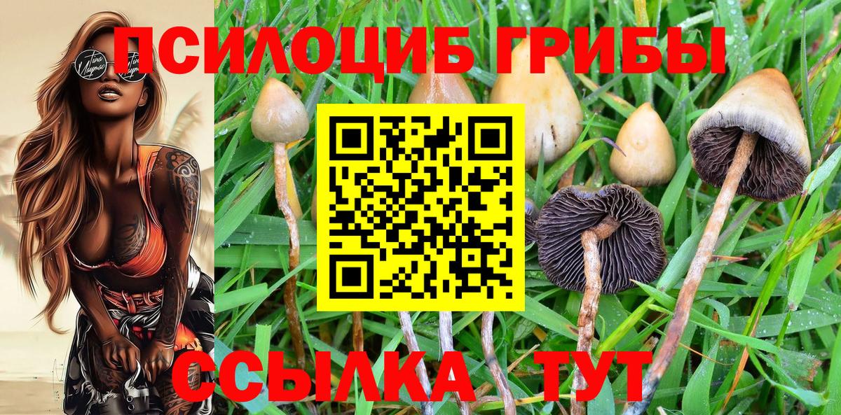 Галлюциногенные грибы Cubensis Снежинск
